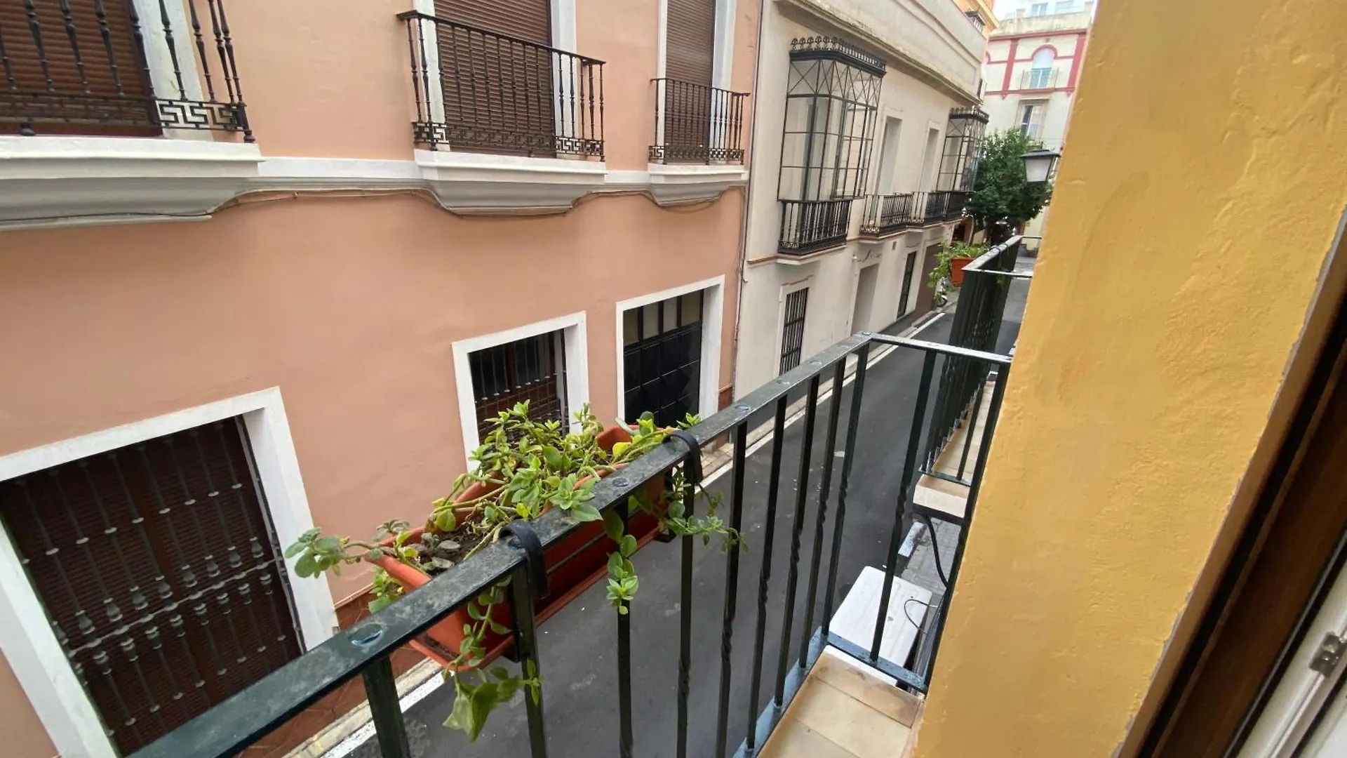 Apartamento Azahar Museo Sevilla